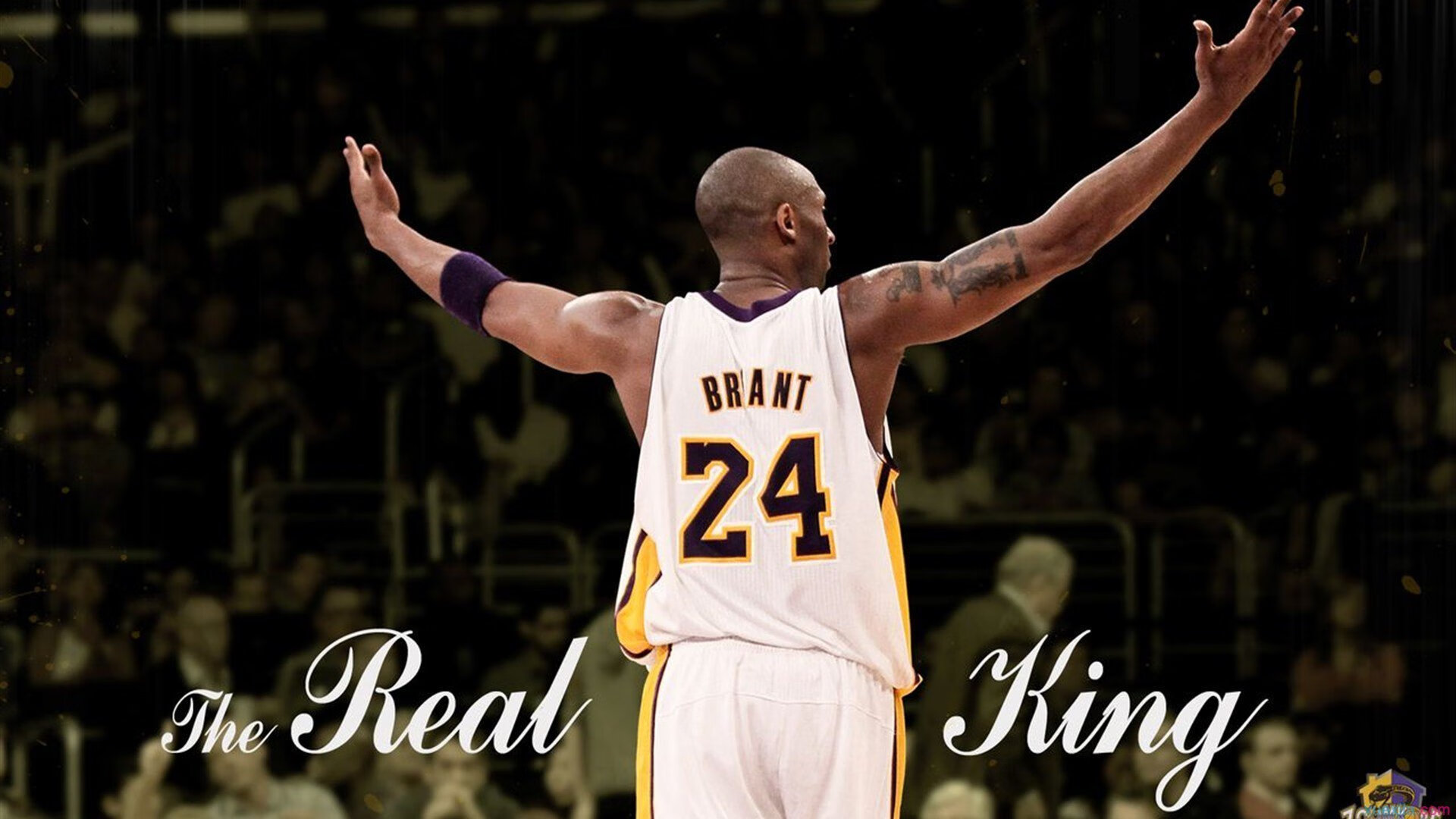 网球赛场焦点！德国队对阵葡萄牙队，压哨绝杀，引爆全场观众欢呼